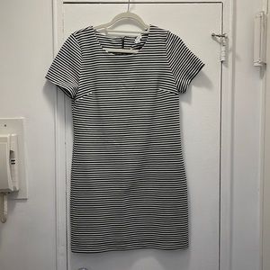 Splendid Stripe Dress